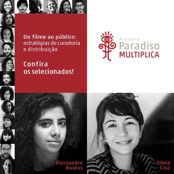 Do filme ao público: estratégias de curadoria e distribuição