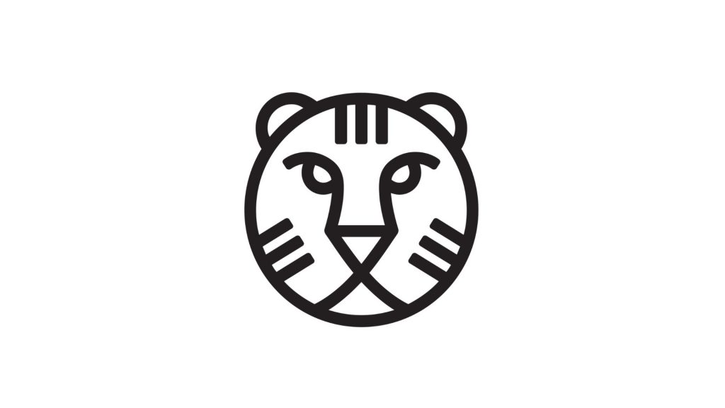 Fundo holandês é parceiro do Projeto Paradiso, que oferece apoio adicional de US$ 1 mil para projeto de Karen Suzanne e Clara Ferrer